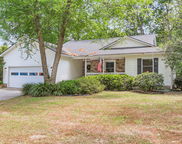 7 Sconesill Lane, Charleston image