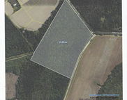 000 Hiotts Pond Road, Walterboro image
