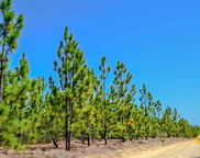 5659 State Rd S-28-31, Bethune image