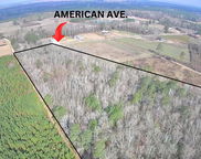 Tbd American Avenue, Turbeville image