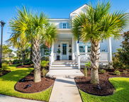 1731 Sandybrook Drive, Mount Pleasant image