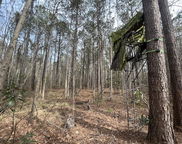01 Bee Drive, Walterboro image