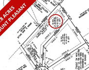 Lucys Lane, Mount Pleasant image