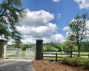 16 Leaning Oak Lane, Ravenel image