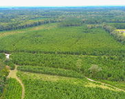 Charleston Highway, Walterboro image