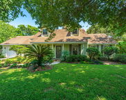 1136 Two Rivers Court, Mount Pleasant image