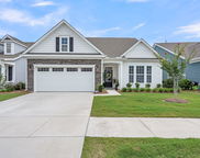 236 River Martin Court, Summerville image
