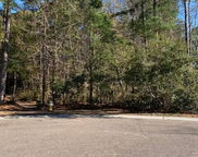 1008 Poconos Court, Summerville image