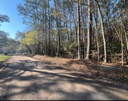 Willtown Road, Adams Run image