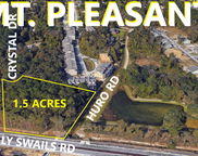 Crystal Dr, Mount Pleasant image
