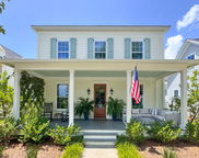 113 Canopy Lane, Summerville image