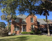 1409 Waterlily Drive, Mount Pleasant image
