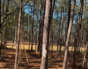 450 River Bluff Trail, Saint Stephen image