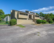 2334 Treescape Drive Unit #2006, Charleston image