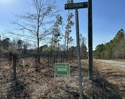 50 Acres Bridlewood Rd., Cheraw image