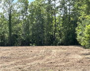 1 Ace Basin Hwy, Jacksonboro image