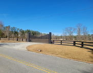 Rice Gate Road Unit #Lot 1, Walterboro image