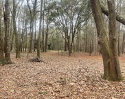 1661 Blues Lane, Edisto Island image