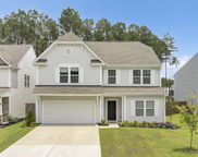 124 Surfbird Road, Summerville image