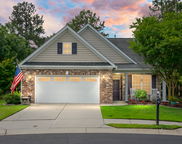 184 Angora Way, Summerville image