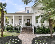 300 Ginned Cotton Street, Charleston image