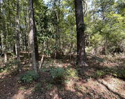 126 Old Still Lane, Bonneau image