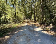 126 Old Still Lane, Bonneau image