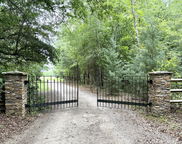 Fort Motte image
