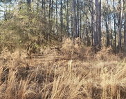 0000 Hard Pinch Road, Moncks Corner image