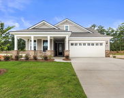 639 Coral Bells Lane, Summerville image