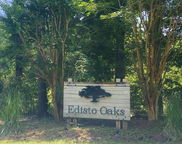 25 Blackbear Road, Edisto Island image