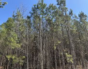 1726 Highway 61, Ridgeville image