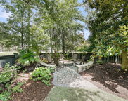 1313 Whisker Pole Lane, Mount Pleasant image