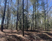 04 China Court, Walterboro image