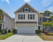 1059 Sago Palm Court, Mount Pleasant image