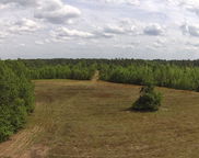 001 Alonzo Road, Saint George image