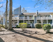 1715 Greystone Blvd Boulevard Unit #25, Mount Pleasant image