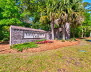 6972 Pumpkinseed Drive, Johns Island image