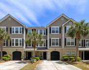 1349 Hamlin Park Circle, Mount Pleasant image