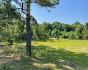 Old River Road, Elloree image