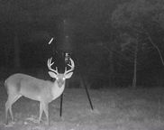 Norris Drive, Walterboro image