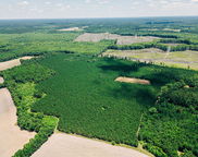 0000 Varnadoe Road, Islandton image