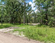 98 Manatee Lane, Green Pond image