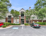 2011 N Hwy 17 Unit #2200h, Mount Pleasant image