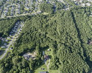 Sc-41, Mount Pleasant image