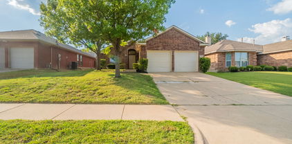 2833 Snowy Owl Dr, Mesquite