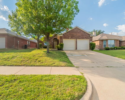 2833 Snowy Owl Dr, Mesquite