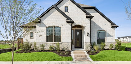 9332 Crimson Sweet, Mesquite