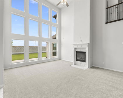 1338 Chisos Way, Forney