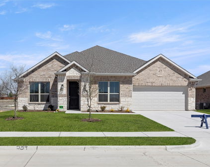539 San Angelo, Forney